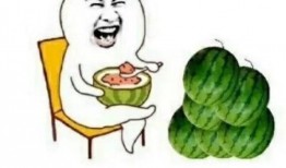 这几年吃的娱乐瓜叫什么,盘点近年热门娱乐瓜