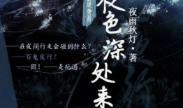 他夜色在线观看,沉浸式在线观影体验